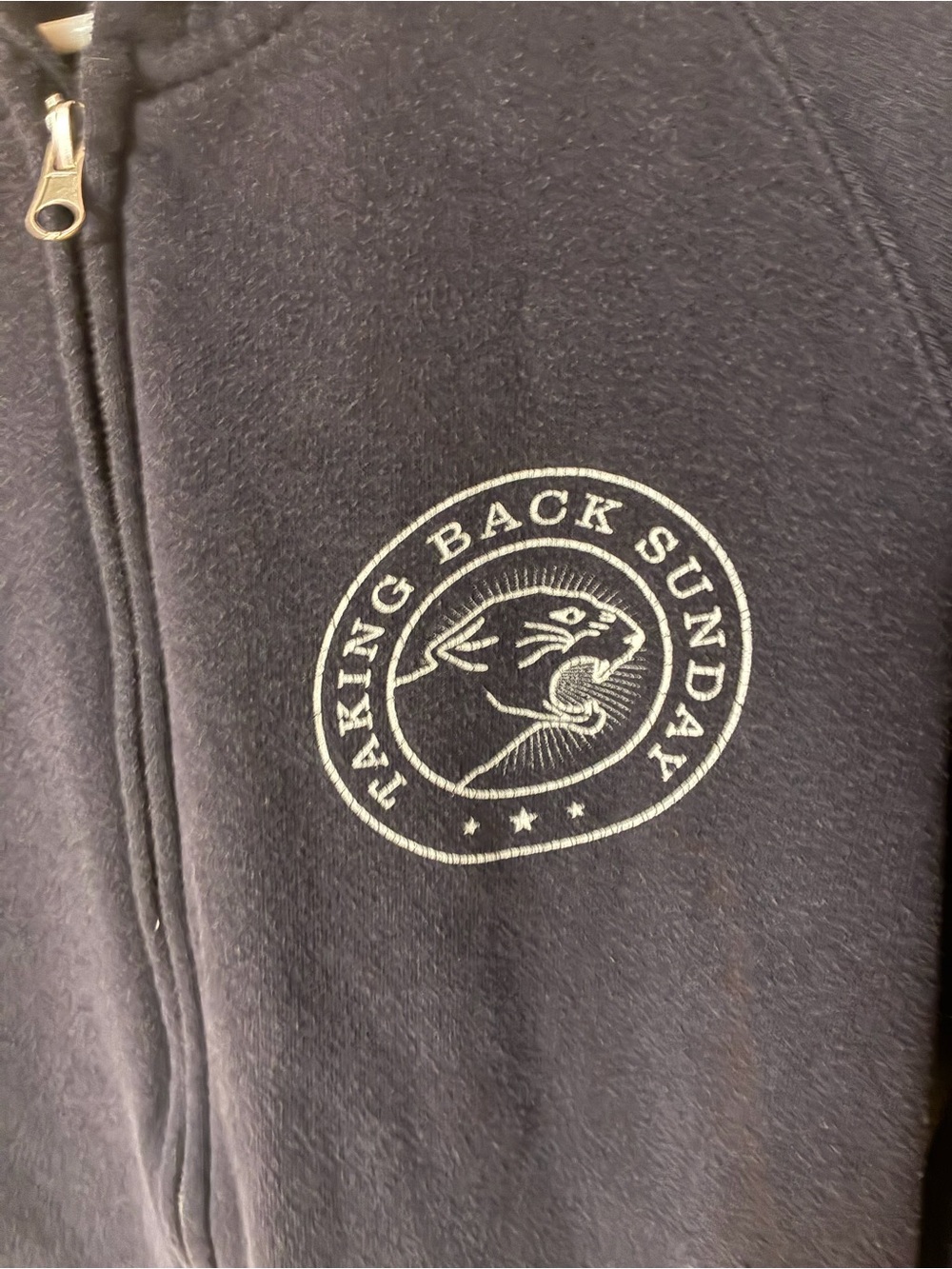 Taking Back Sunday Black Zip-Up Hoodie with Embroidered Logo vintage